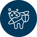 General Dentistry - best care with the friendliest smiles.